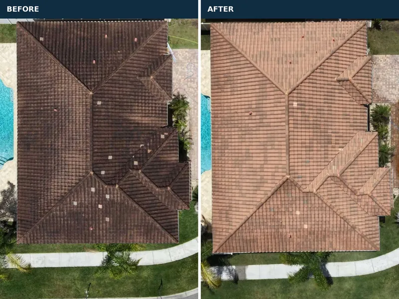 Terracotta tile roof before and after roof soft washing